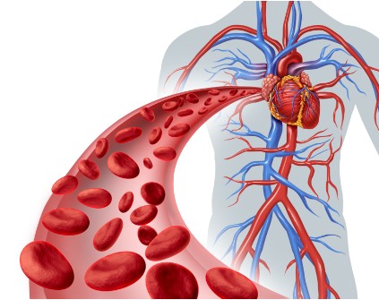 CardiaFlow Ingredients