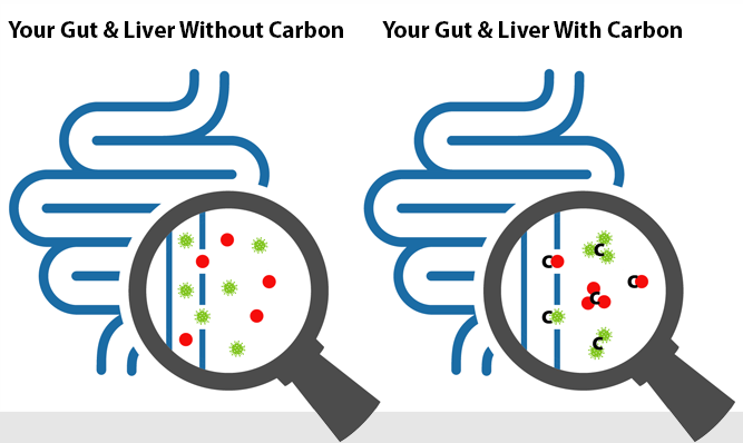 TrueCarbonCleanse Supplement