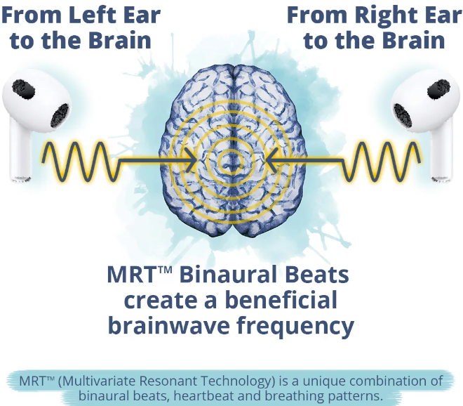 ZenHarmonics Program