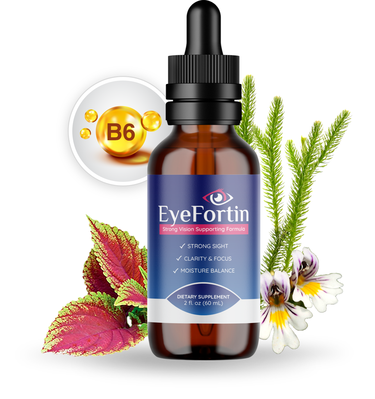 Eye Fortin Reviews