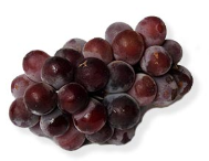 Grape Seed Extract