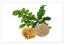 Boswellia Extract