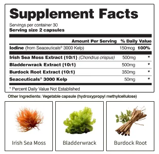 Snap Irish Sea Moss Ingredients