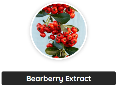 Bearberry Extract