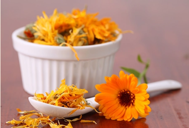 Mary's Gold Calendula