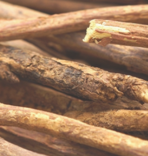 Licorice Root