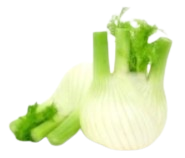 Fennel Fruit Extract