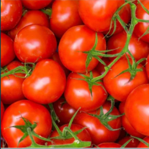 Lycopene