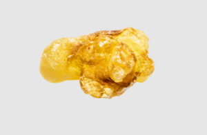 Boswellia