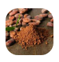 Cocoa Bean Extract