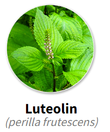 Luteolin