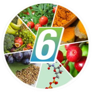 NeuroActiv6 Ingredients