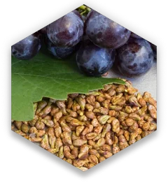 grape-seeds