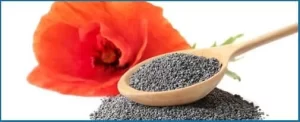 California-Poppy-Poppy-Seed-