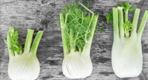 Fennel Fruit