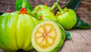 Kerala Garcinia Cambogia