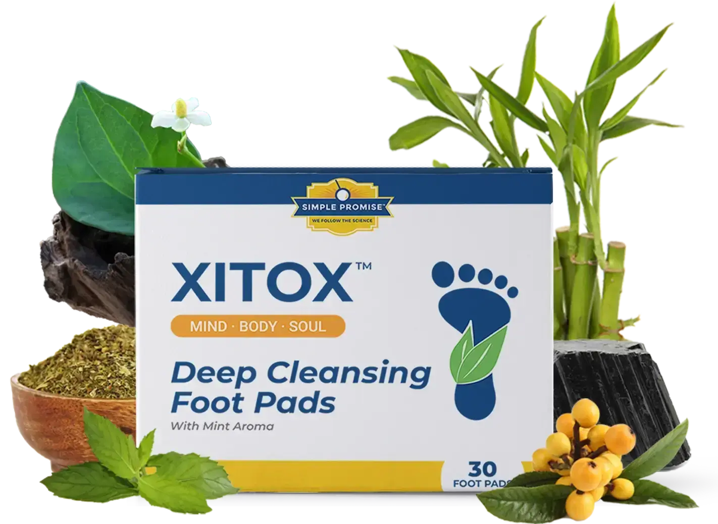 Xitox Foot Pads