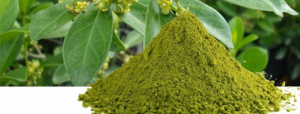 Gymnema-sylvestre-Leaf-Powder_