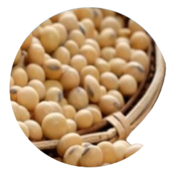 Phosphatidylserine Complex