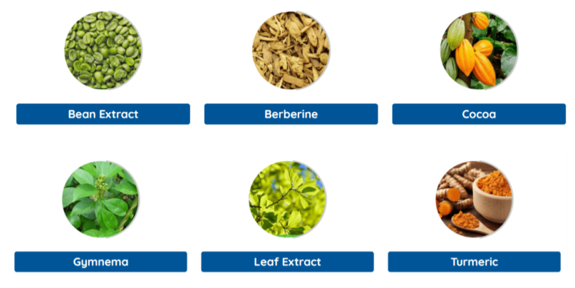 Gluco Extend Ingredients