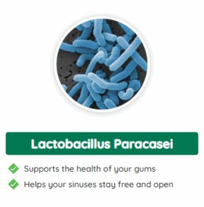Lactobacillus Paracasei