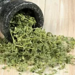 epimedium & tribulus terrestris