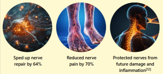 Nerve-Armor-benefits