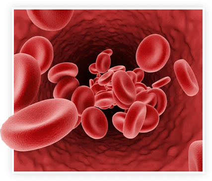 ProstaVive blood cell