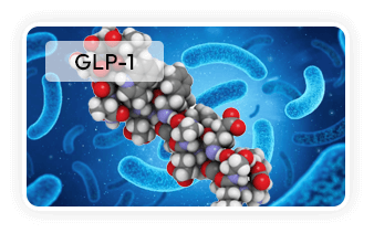 Akkermansia muciniphila