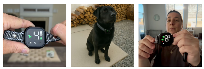 Anti-Bark-Dog-Collar reviews