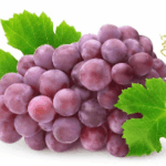 Grape-Seed-Extract 