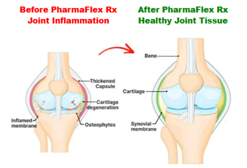 PharmaFlex-Rx- benefits