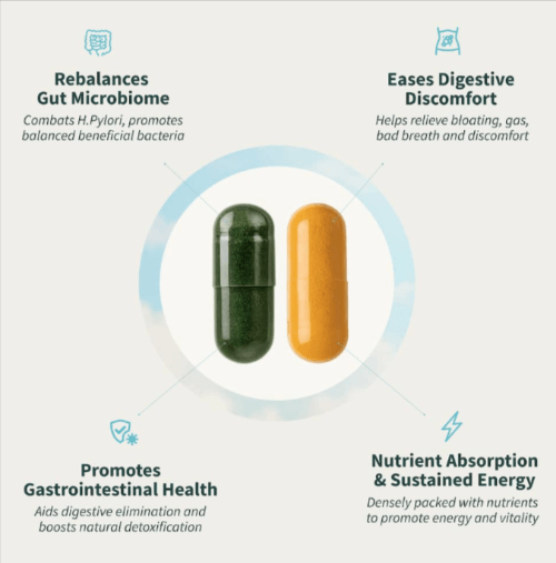 SNAP Gut Health Spirulina uses
