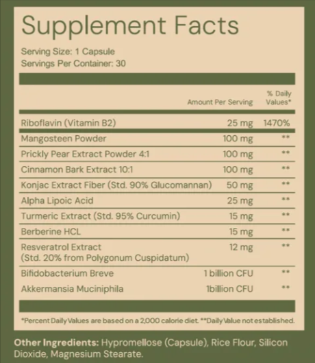 Salo GLP-1 Booster supplement facts
