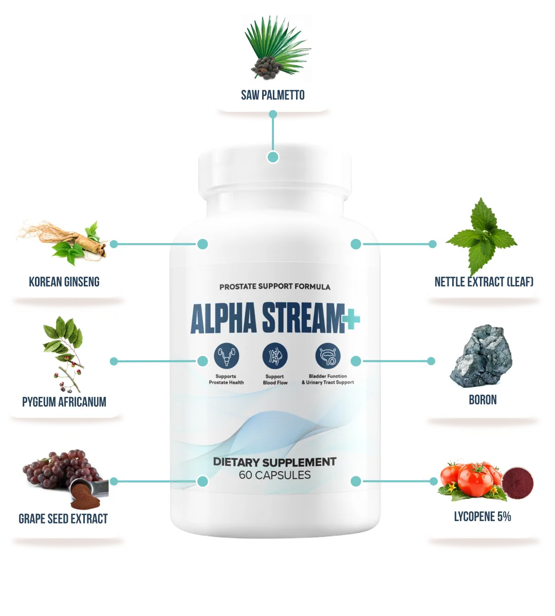 Alpha Stream Plus Ingredients