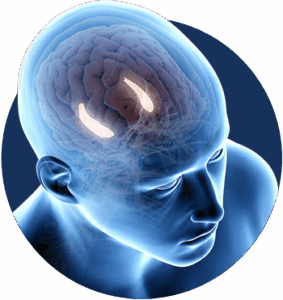 Billionaire Brain Wave inside