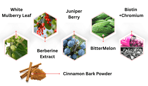 BioCell Blood Pressure ingredients