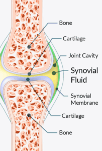 Joint-Genesis-Joint-health-