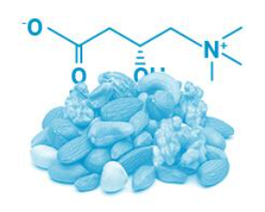L-Carnitine Fumarate