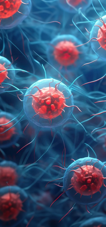 Longevity Activator works