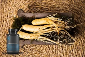 Panax Ginseng