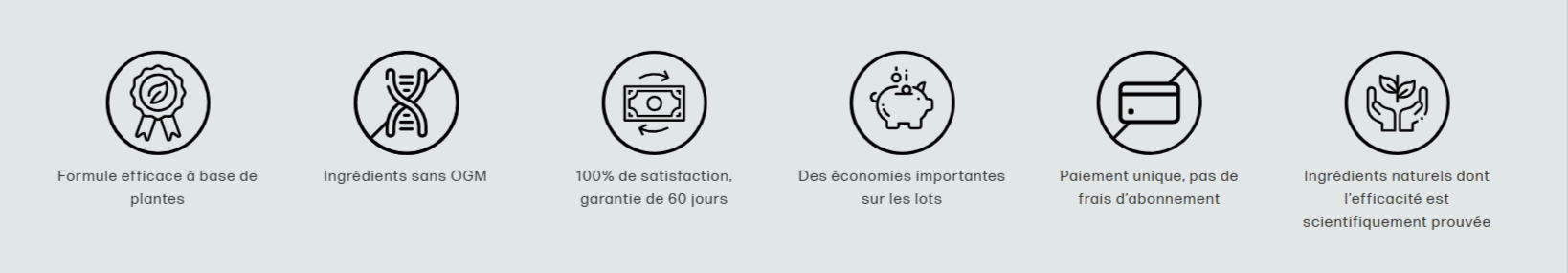 Performer_8-where to buy