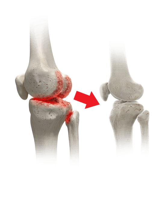 golden revive plus benefits