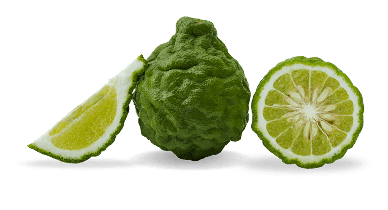 Bergamot Plus Ingredient