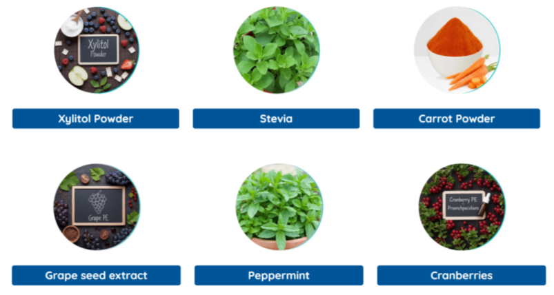 BioDentix ingredients