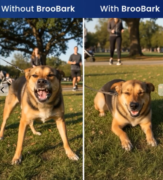 BrooBark-Ultrasonic-Dog-Trainer benefits