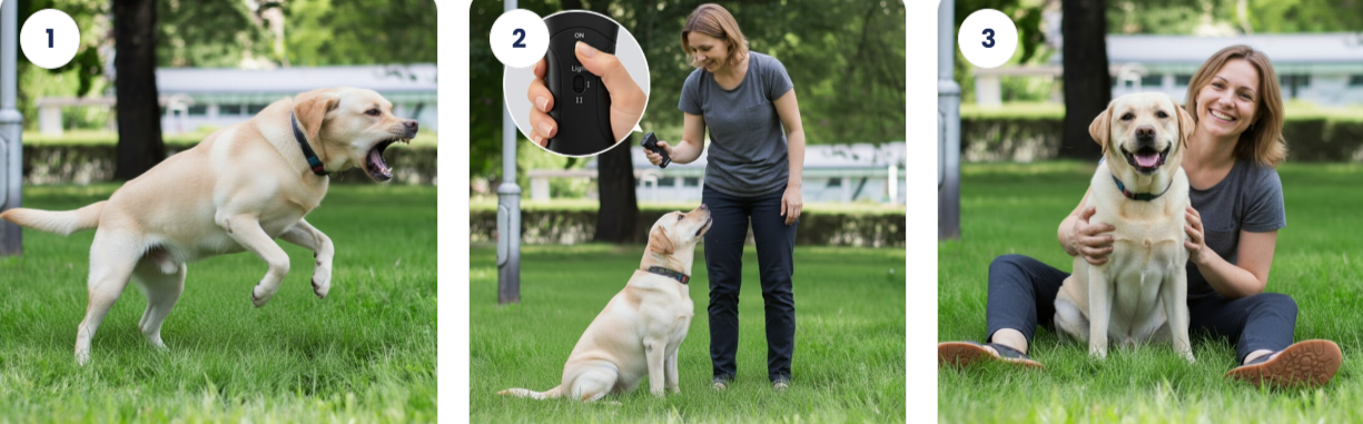 BrooBark-Ultrasonic-Dog-Trainer uses