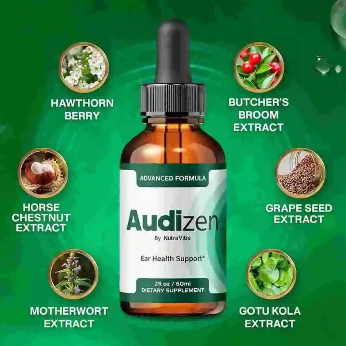 Key-Ingredients-of-Audizen