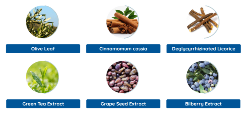 Neuro Serge ingredients