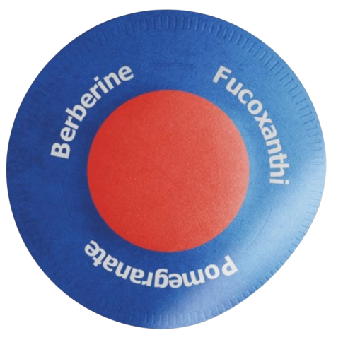 Purisaki Berberine Patches Reviews